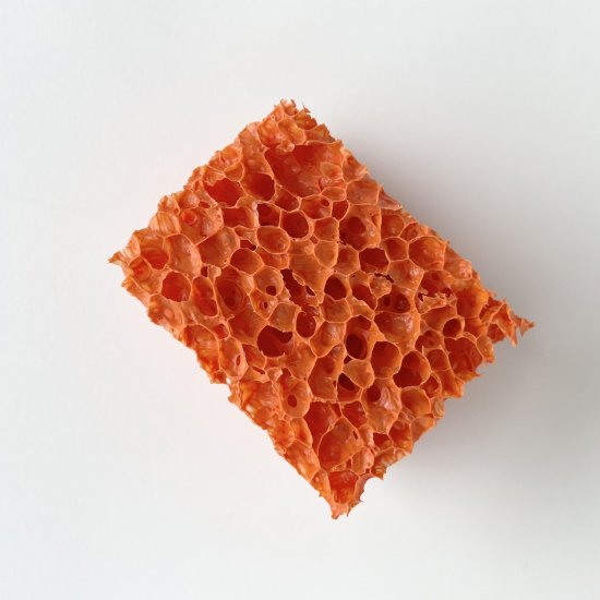 Orange Stipple sponge| スティップルスポンジ・オレンジ(1個単品)